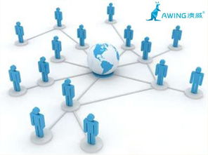 鋁合金門(mén)窗影響力品牌企業(yè)借助網(wǎng)絡(luò)技術(shù)服務(wù)實(shí)現(xiàn)發(fā)展布局的方法